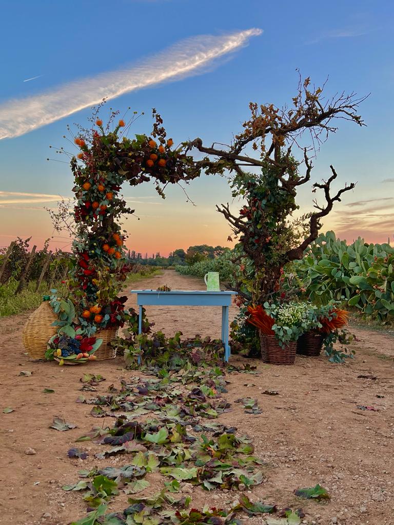 Matrimonio in Puglia