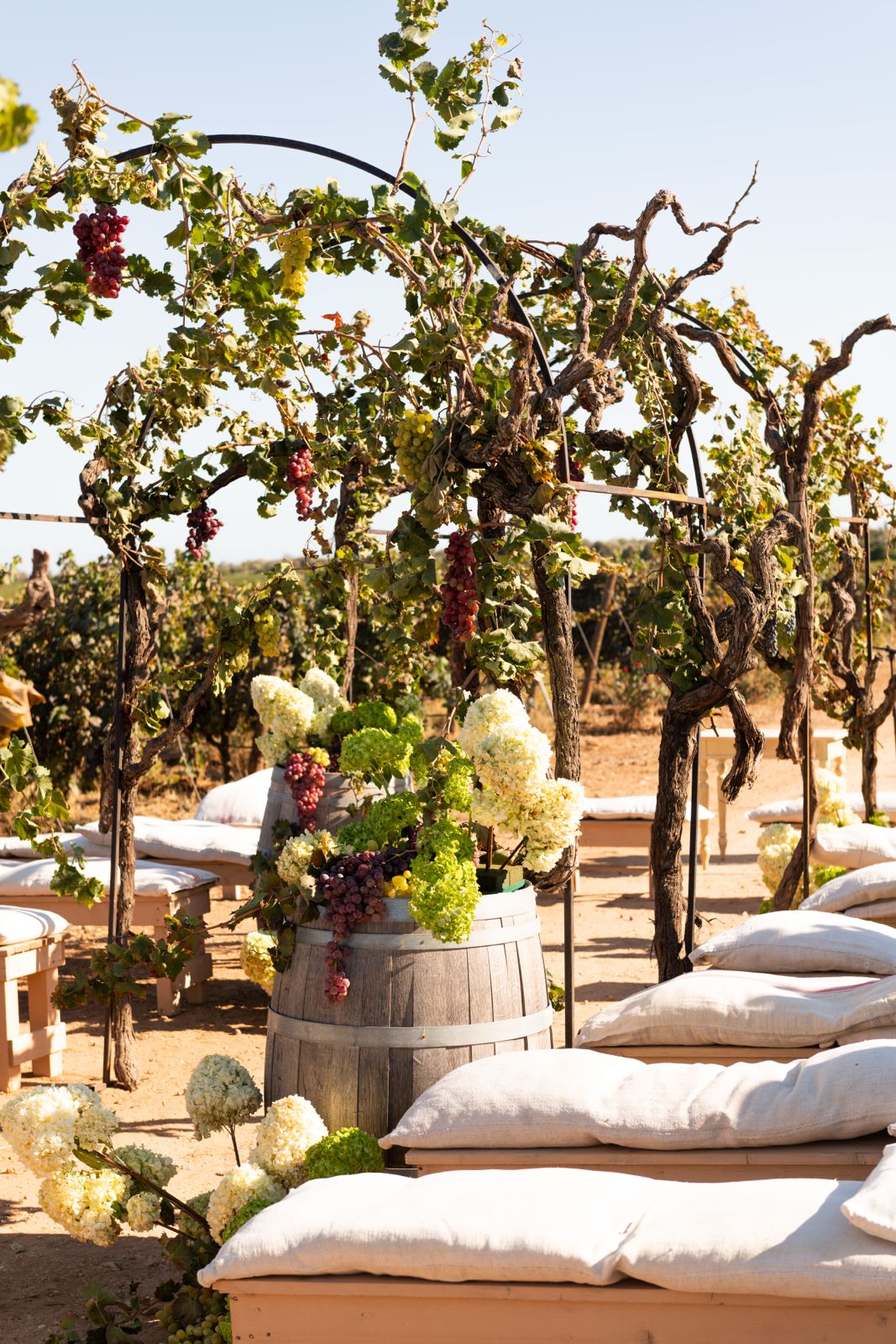 Cerimonia tra i vigneti pugliesi